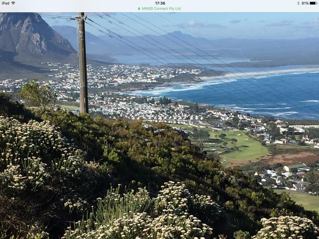77 On 7Th Street Διαμέρισμα Hermanus Εξωτερικό φωτογραφία